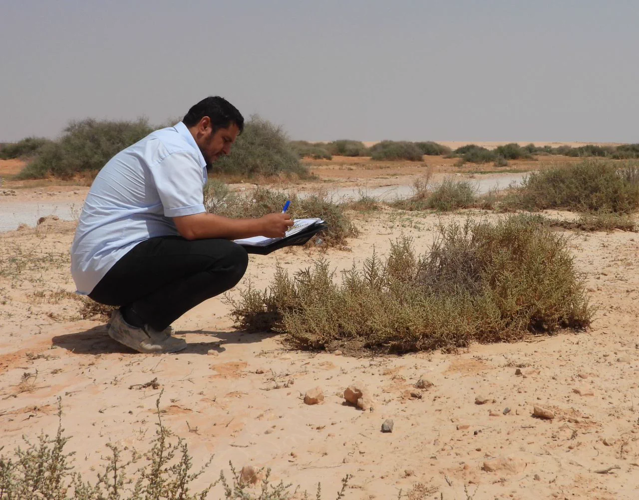 مختص بيئي يوثق الغطاء النباتي في موئل صحراوي